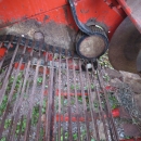 4170 Grimme SL800 potatisupptagare