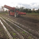 4290 DEWULF RQ3060 potato harvester
