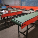 4387 Perfect apple grading line