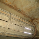 4418 TONG PEAL Waschlinie für Kartoffel und Gemüse