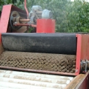 1903 Sörgårdsprodukter potato sorter /grader