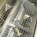 4602 LIMAS complete peeling factory for potato