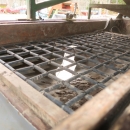 4605 Schouten Kwartet potatissorterare