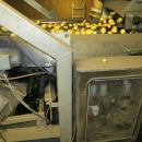 4721 Odenberg optisk potatissorterare