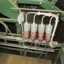 4742 Schouten grading line for potato