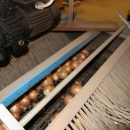 4756 EMVE sorteringslinje med avlastarbord