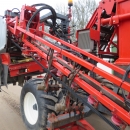 4774 Dewulf GBC carrot harvester 1 row with 3 ton bunker