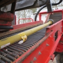 4774 Dewulf GBC carrot harvester 1 row with 3 ton bunker