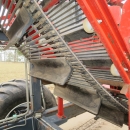 4774 Dewulf GBC carrot harvester 1 row with 3 ton bunker