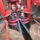 4774 Dewulf GBC carrot harvester 1 row with 3 ton bunker
