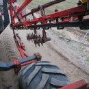 4774 Dewulf GBC carrot harvester 1 row with 3 ton bunker