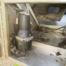 4803 WYMA Polierer für Möhren