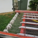 4834 EKKO bunch washer to bunched vegetables