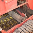 5035 Grimme SE75-40 Kartoffelroder