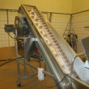 5071 Ekomatic peeling line