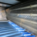 5080 Newtec Celox optisk sorterare till potatis