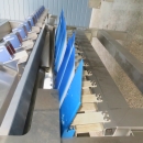 5080 Newtec Celox optisk sorterare till potatis