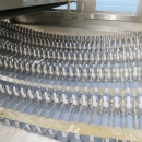 5080 Newtec Celox optisk sorterare till potatis
