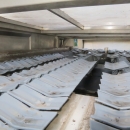 5080 Newtec Celox optisk sorterare till potatis