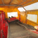 5092 Grimme SE75-40 potatisupptagare