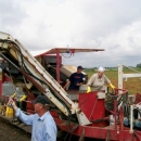 3186 PIK RITE tomato harvester also cucumber