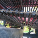 5231 Dewulf RA2060 potatisupptagare