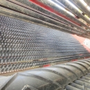 5231 Dewulf RA2060 potatisupptagare
