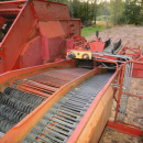 5268 Grimme SE70-20 potato harvester