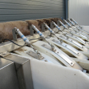 5289 Newtec bagger and weigher for BAKED POTATOES