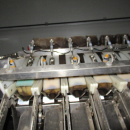5289 Newtec bagger and weigher for BAKED POTATOES