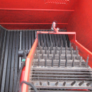 5338 Dewulf GBC carrot harvester with bunker