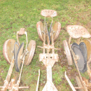 5428 Accord transplanter 3 row small