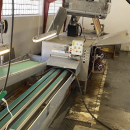 5437 Briand leek washer 