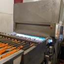 5443 Newtec celox optical sorter for carrots