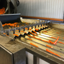 5603 NEWTEC Celox RV12 Optische sortierer für Möhren