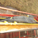 5736 Grimme SE75-40 potatisupptagare
