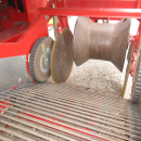 5798 Grimme SE140 potato harvester
