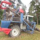 6039 Asa-Lift SP-200 E carrot harvester