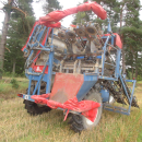 6039 Asa-Lift SP-200 E carrot harvester