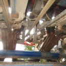 6039 Asa-Lift SP-200 E carrot harvester