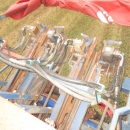 6039 Asa-Lift SP-200 E carrot harvester