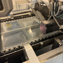 6111 GEA Thermoformer PowerPak ST420 year 2019 with printer. 