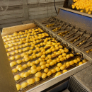 6187 Newtec Celox optisk sorterare för potatis
