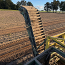 6202 Ploeger potato harvester 4 row with elevator