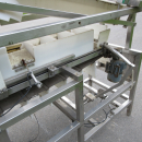 6235 Newtec NBM 50 Denester and punnet filler