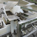 6235 Newtec NBM 50 Denester and punnet filler