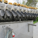 6236 Newtec + Gillenkirch Verpackungslinie für Apfel Äpfel