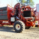 3583 Simon carrot harvester 1 row with 5 ton bunker