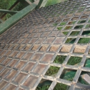3625 Schouten potatissorterare 