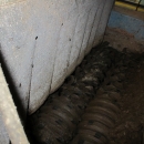 3659 EMVE potato grading line 